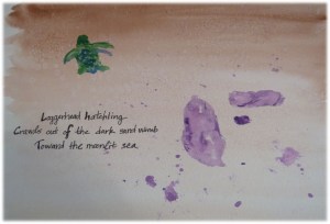 sea turtle watercolor